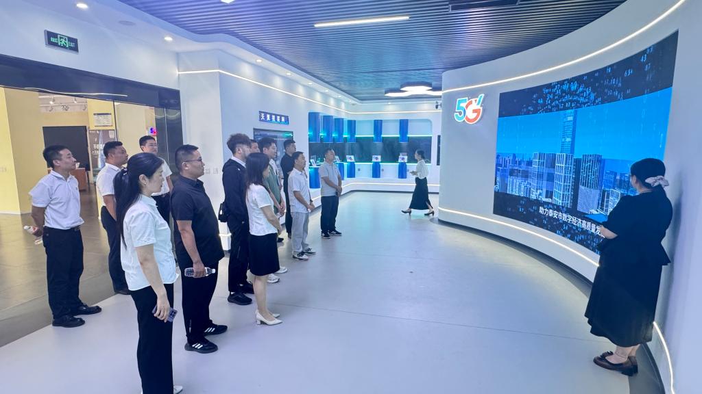 黨建翼聯(lián)聚合力，數(shù)字服務(wù)譜新篇——泰山科技學(xué)院機(jī)關(guān)第二黨支部與泰安電信開(kāi)展黨建翼聯(lián)活動(dòng)紀(jì)實(shí)