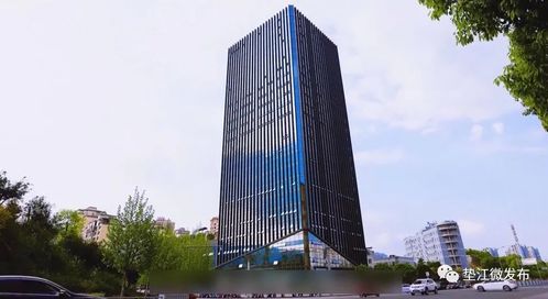 墊江 揚帆啟航高新路，數字技術服務賦能縣域發展新篇章